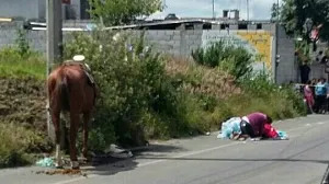 Joven de 15 años muere al caer de caballo