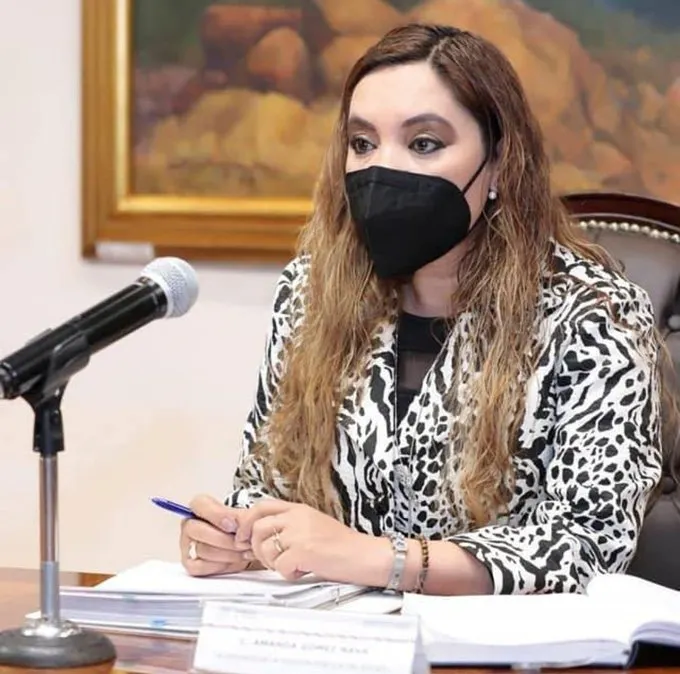 Amanda Gómez Nava