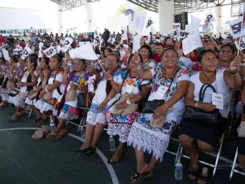 Afines a Elba Esther con 45% de avance para convertirse en partido
