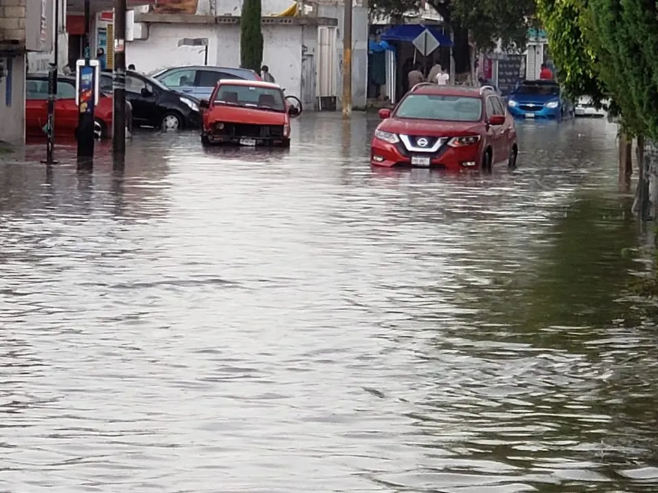 Es Imagen