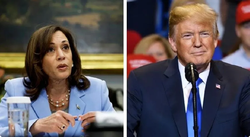 Con encuestas ajustadas, Trump y Harris intensifican campañas en siete estados decisivos