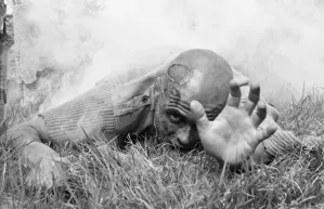 La verdadera historia del origen de los zombis