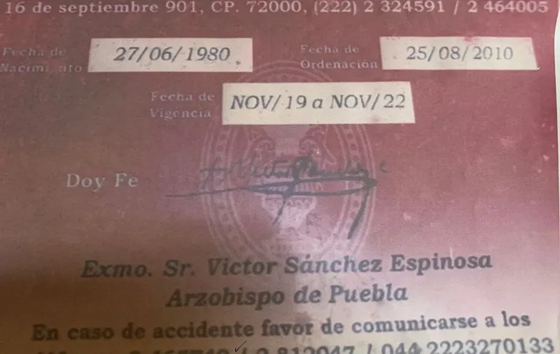 Imagen del artículo