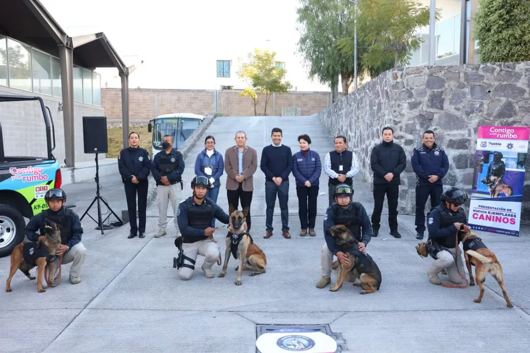 Ejemplares caninos
