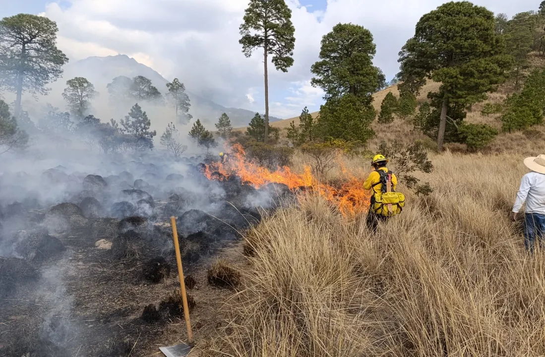 Brigadas forestales sofocan los primeros incendios de 2026