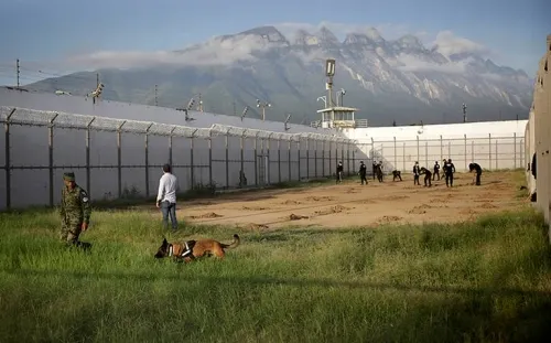 Con perros y radares, agentes buscan fosas clandestinas en penal de Topo Chico