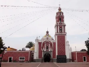 Dos menores de Atzompa, infectados con tuberculosis bovina