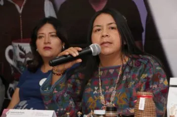 Ana Laura Altamirano rendirá protesta en el Congreso de Puebla, pero pedirá licencia para encabezar la SDR