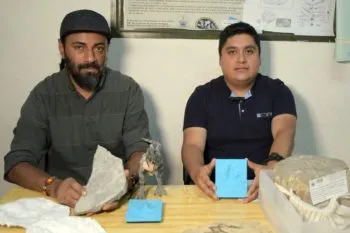Encuentran en Puebla la huella de dinosaurio más pequeña registrada en el estado