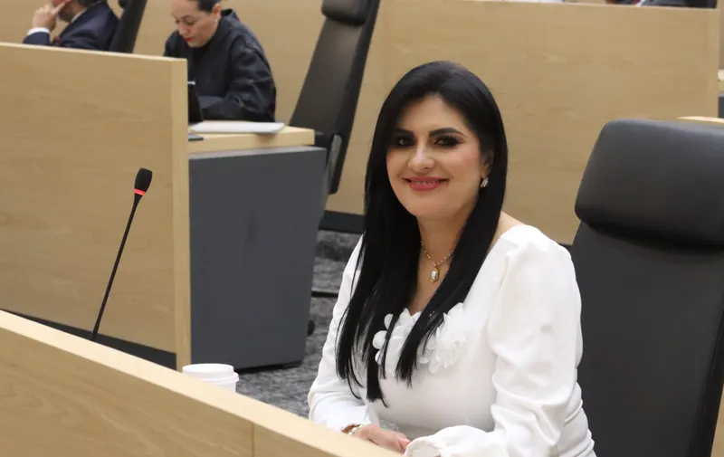 Diputada Delfina Pozos propone reforzar la supervisión de deshuesaderos y yonkes en Puebla