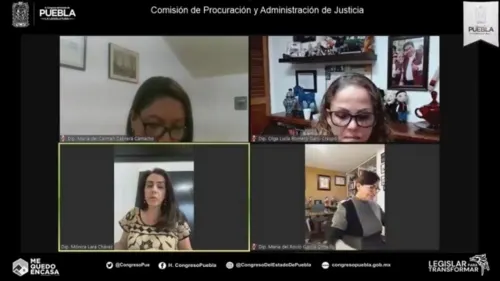 En Comisión aprobaron reformas al Código Penal para evitar  abusos contra agricultores