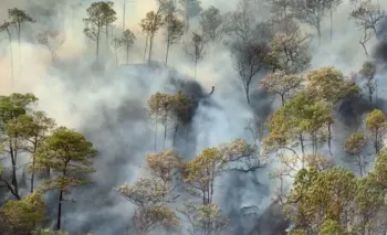 Conafor reporta 116 incendios forestales en México