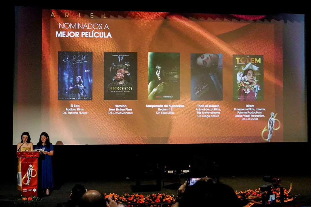 Premios Ariel 2024 Presentacion