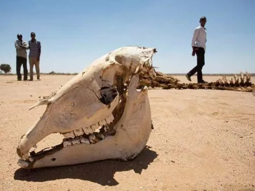 Mueren al menos 26 personas por hambruna en Somalia