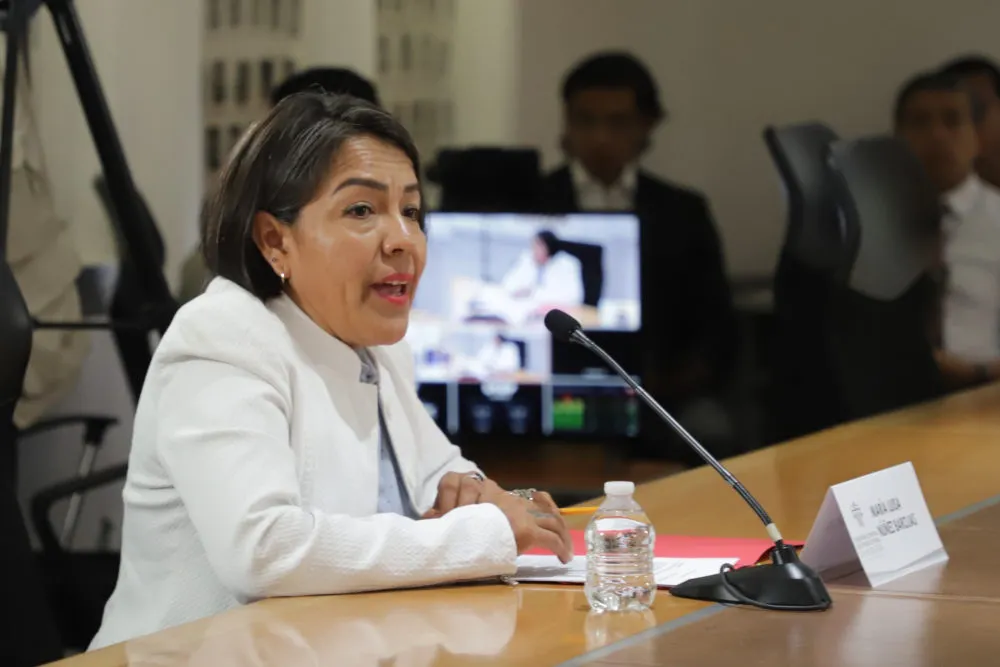 Maria Luisa Nunez Barojas