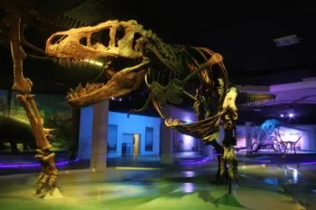 Museo de la Evolución Puebla cumple 10 años este 14 de enero: líder en ciencia y cultura