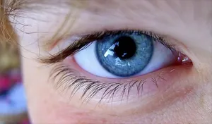 Las personas con ojos azules tienen un único antepasado común