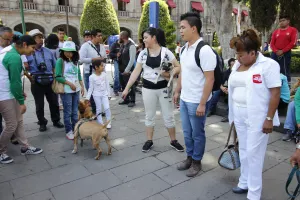 Denuncian activistas peleas ilegales de perros en la Romero Vargas y La Libertad