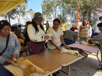 Fortalece Ayuntamiento de Puebla la mejora de servicios mediante verificaciones ciudadanas