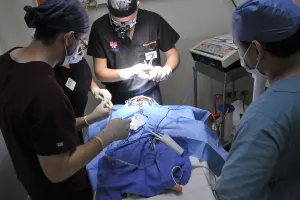 Inicia Jornada de Intervención de Labio Leporino en el HUP