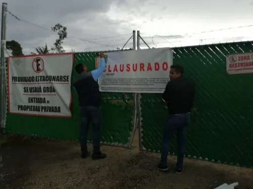 Clausura Secretaría de Medio Ambiente tala de árboles en Lomas de San Juan