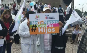 Frente por la Familia pide analizar bodas gays científicamente