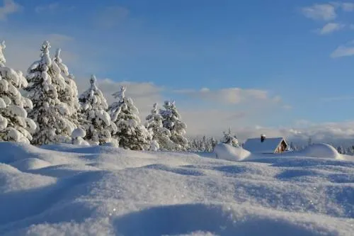 ¿Por qué la nieve es blanca?
