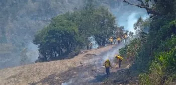 Atípica jornada de incendios; en últimas 24 horas hubo 17: Medio Ambiente