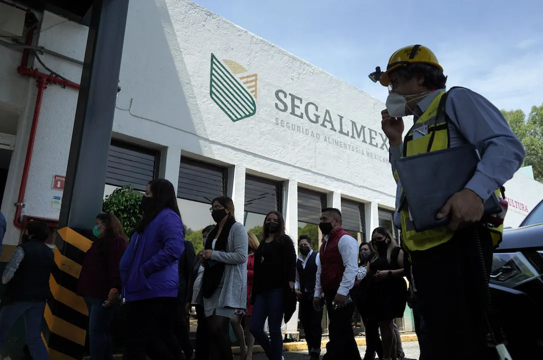 Segalmex