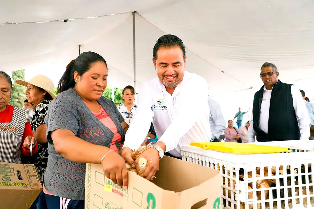 San Andres Cholula Paquetes Aves De Traspatio