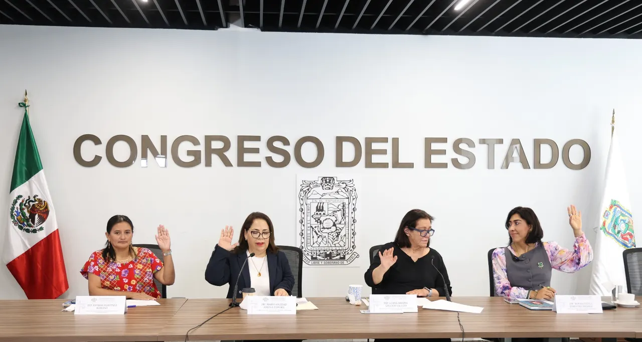 Congreso Pue Comision De Atencion A Personas Con Discapacidad