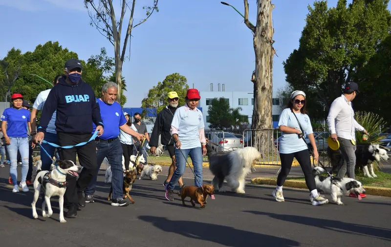 buap-coeto-aniversario