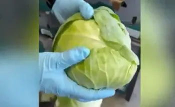 Aseguran más de 900 kilos de metanfetamina ocultos en cargamento de repollo en Texas