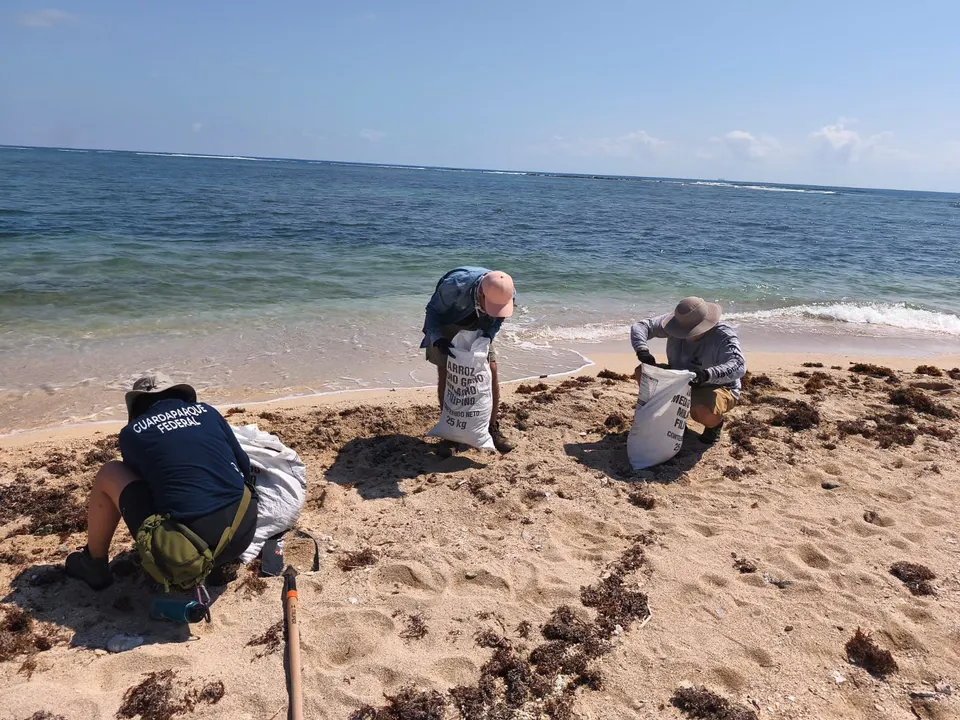Conapesca desmiente que haya  prohibición de pesca por dos años en Veracruz por derrame de hidrocarburos