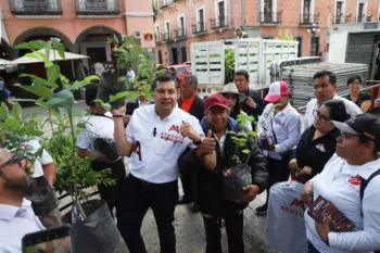 Alejandro Armenta aventaja en encuestas de cara al proceso interno de Morena