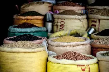 Al considerarlo comida de pobres, mexicanos reducen consumo de frijol