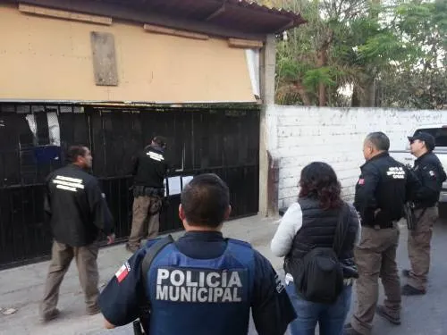 En cateo a vivienda autoridades federales decomisaron 20 kilos de marihuana