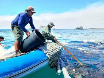 En las Islas Galápagos, barco derrama combustible durante su hundimiento