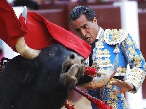 Muere torero Iván Fandiño tras sufrir cornada