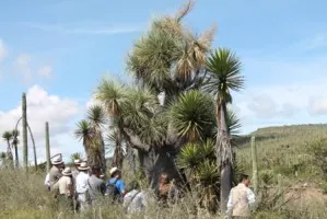 San Juan Raya puede ser patrimonio mundial de la humanidad