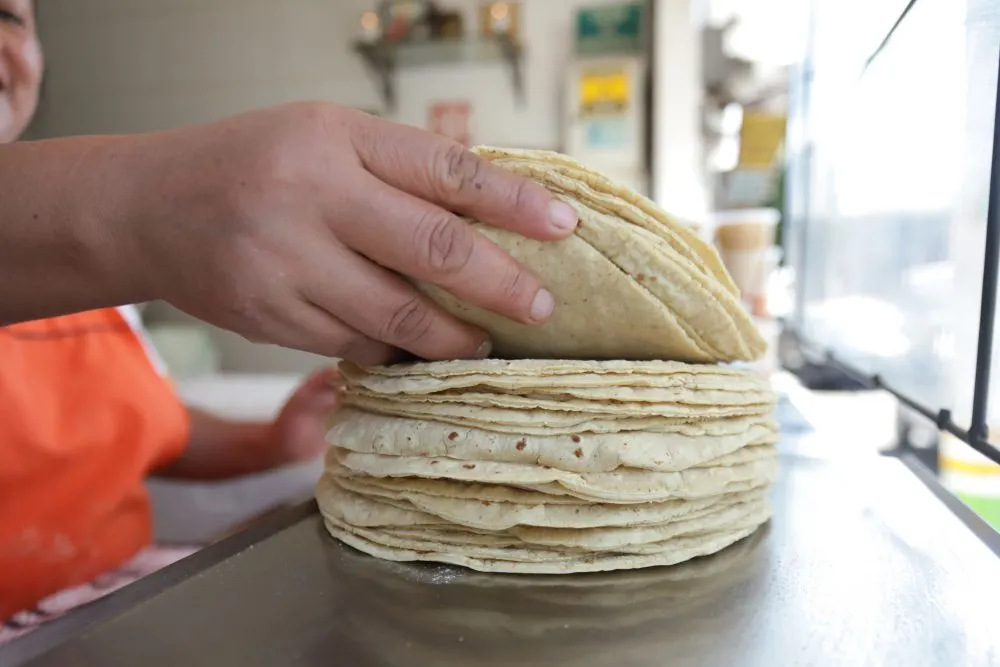 Aumenta precio de la tortilla en Puebla; alcanza hasta los $15 por kilo