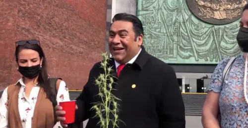 Legislador “pro cannabis” pide sembrar marihuana en la Cámara de Diputados