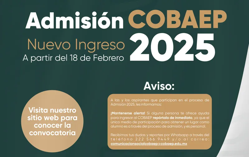 Imagen del artículo