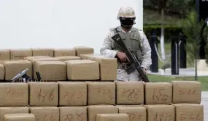 Asegura Sedena 6.1 toneladas de marihuana en Tamaulipas