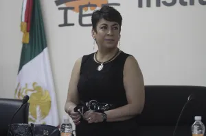IEE esperará que INE designe al relevo de Armando Guerrero‏