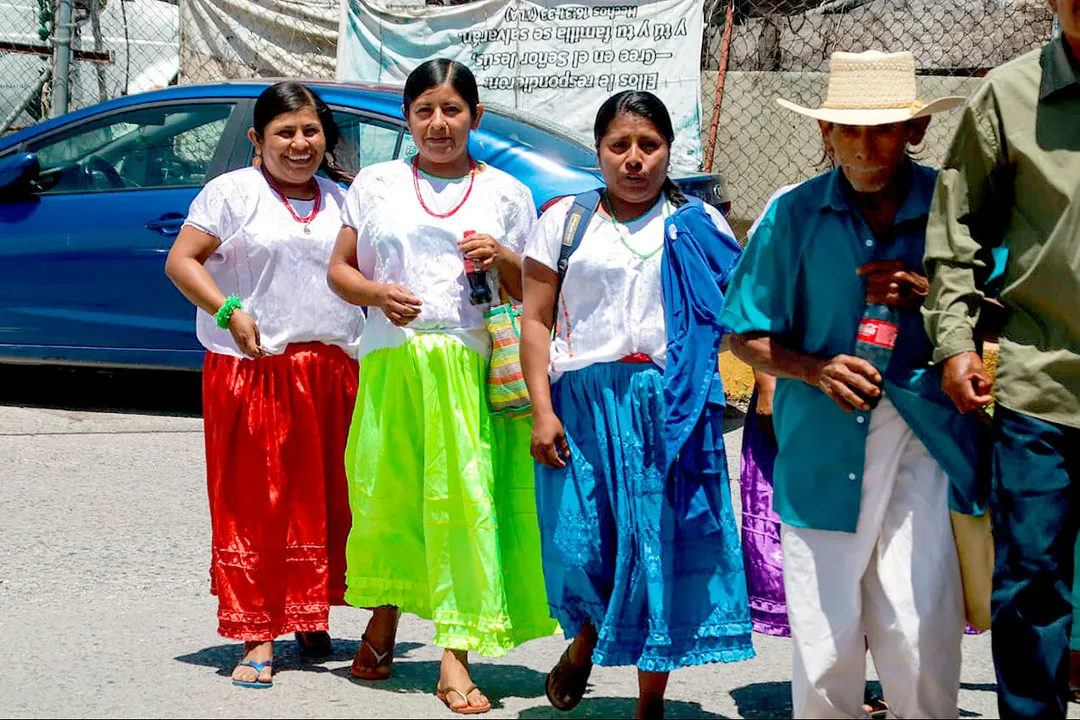 Pueblos Indigenas