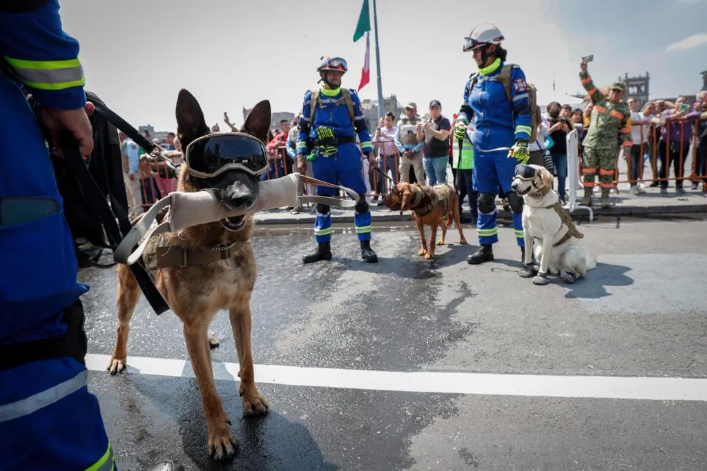 Simulacro Nacional 2023