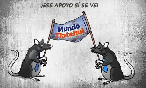 Panista cholulteca en apuros