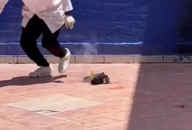 gato-asesinado-educem-penjamo-guanajuato