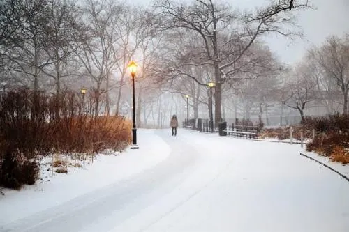 Una intensa tormenta de nieve castiga a Nueva York y sus alrededores